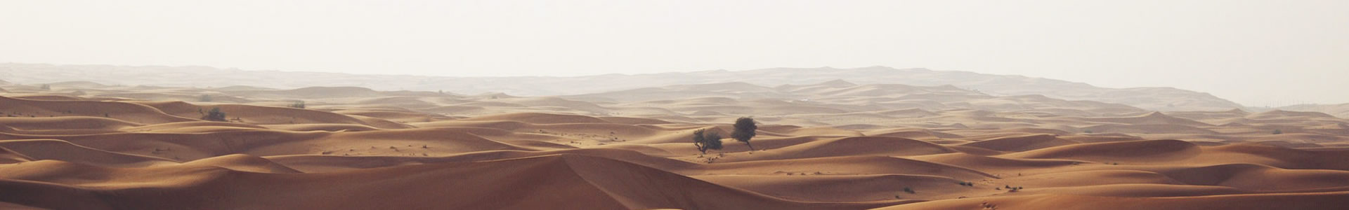 ˵½̼޹˾